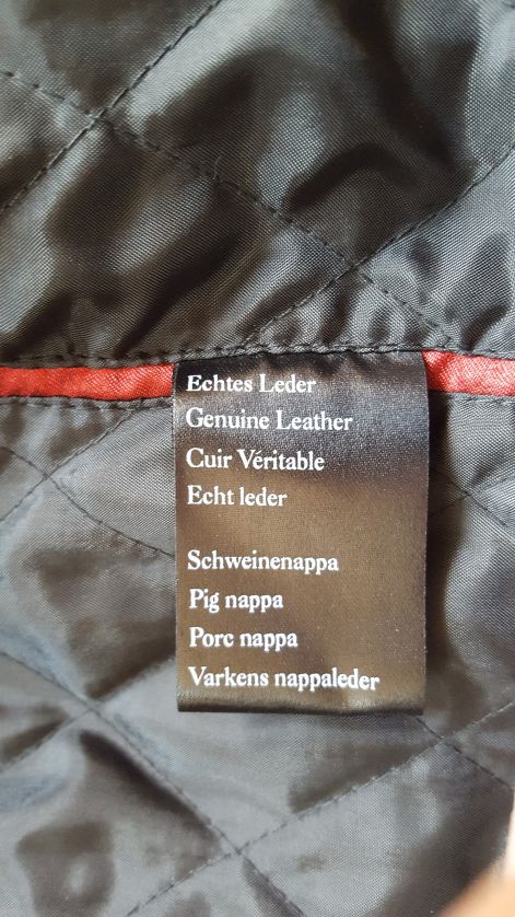explorer_borkabat2.jpg